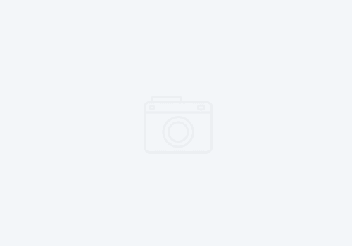 Company Profile